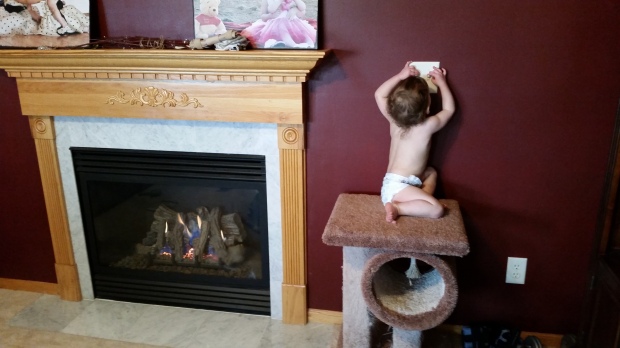 Ary on the cat tree, turning on the fireplace on the day that I was dying.